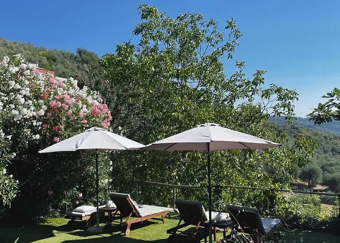 Casa Carpe Diem A Barca Konukevi 4*