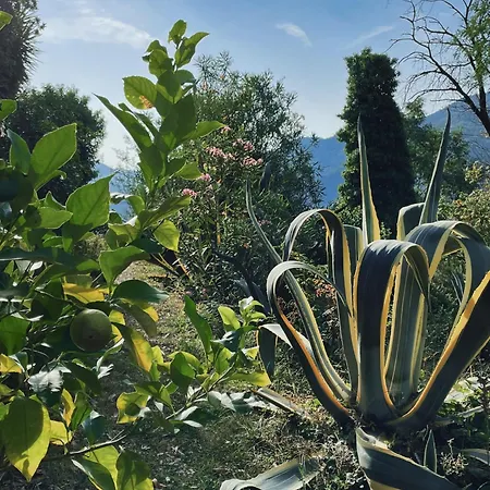 Casa de hóspedes Casa Carpe Diem A Barca