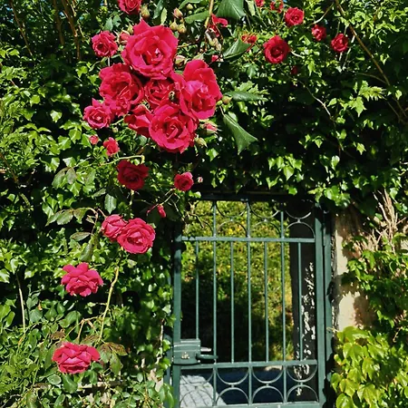 Casa Carpe Diem A Barca 4*