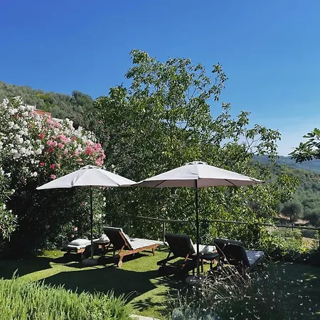 Casa Carpe Diem A Barca Гостевой дом 4*