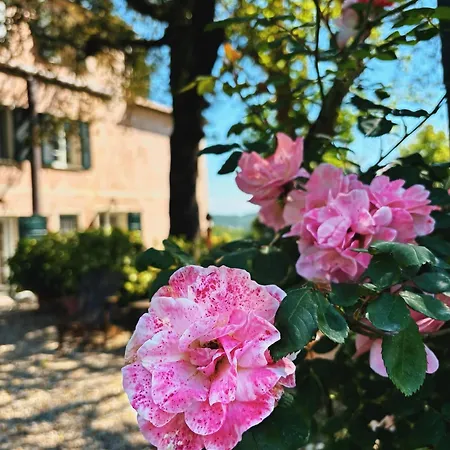 Casa de hóspedes Casa Carpe Diem A Barca