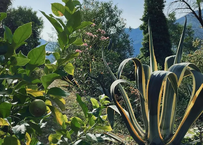 Pensionat Casa Carpe Diem A Barca