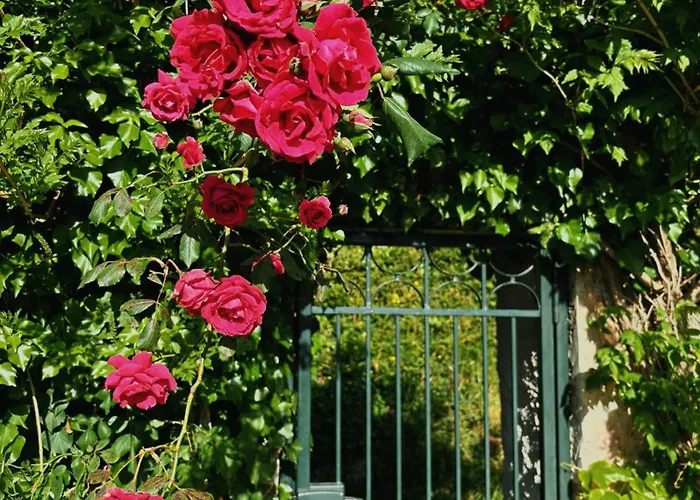 Casa Carpe Diem A Barca 4*