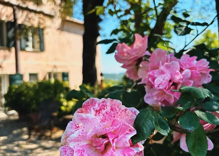Pensionat Casa Carpe Diem A Barca